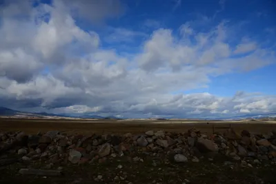 DSC_2908 (Large).JPG